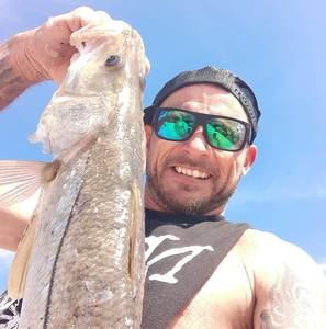 Meet your Posher, Kory